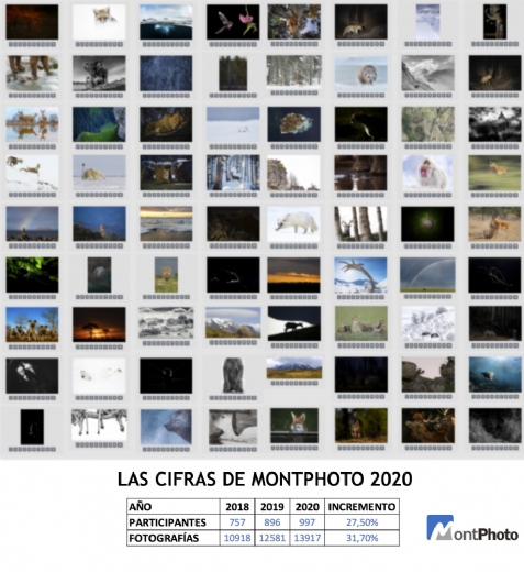 Nuevo record de participacin en MontPhoto 2020